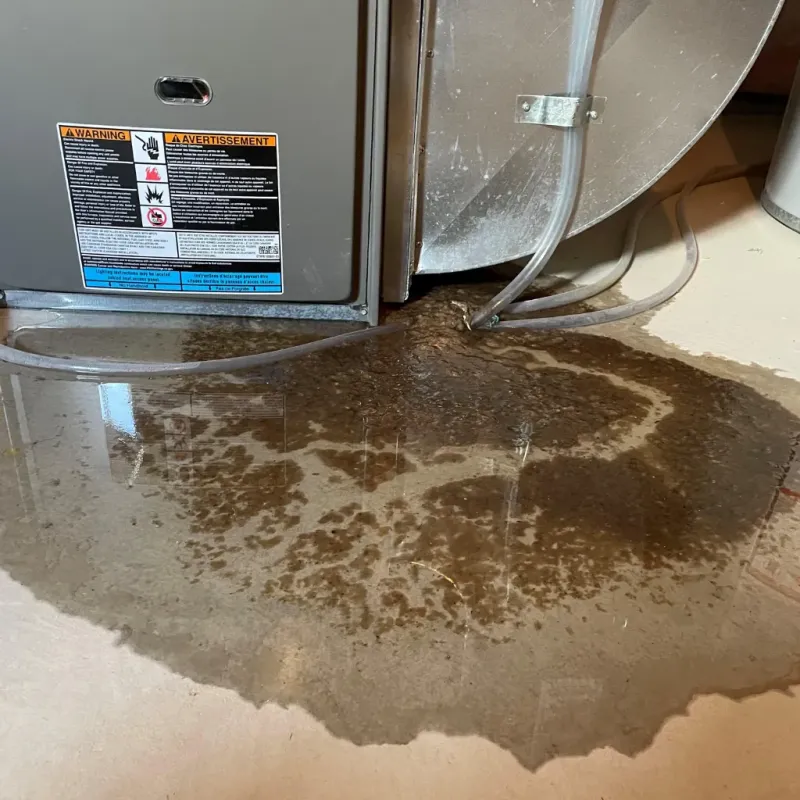 Appliance Leak Cleanup in Orangeburg, SC