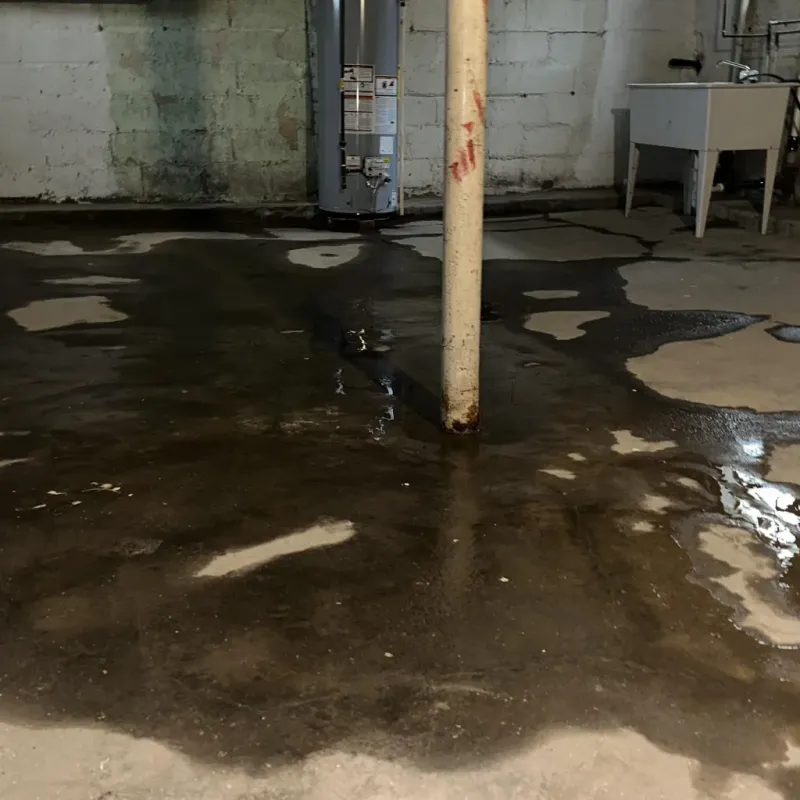 Emergency Water Extraction And Removal in Orangeburg, SC